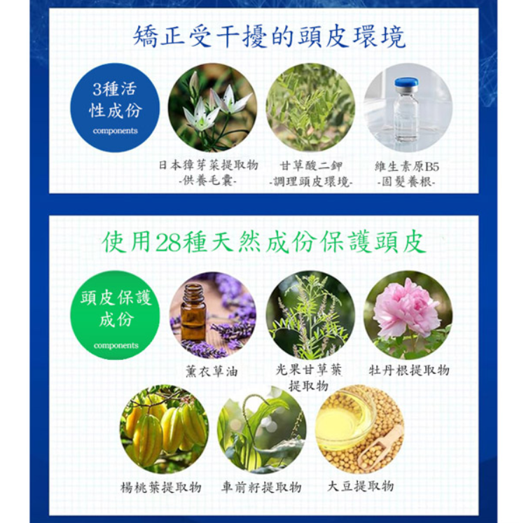 2Newmo育髮精華-4