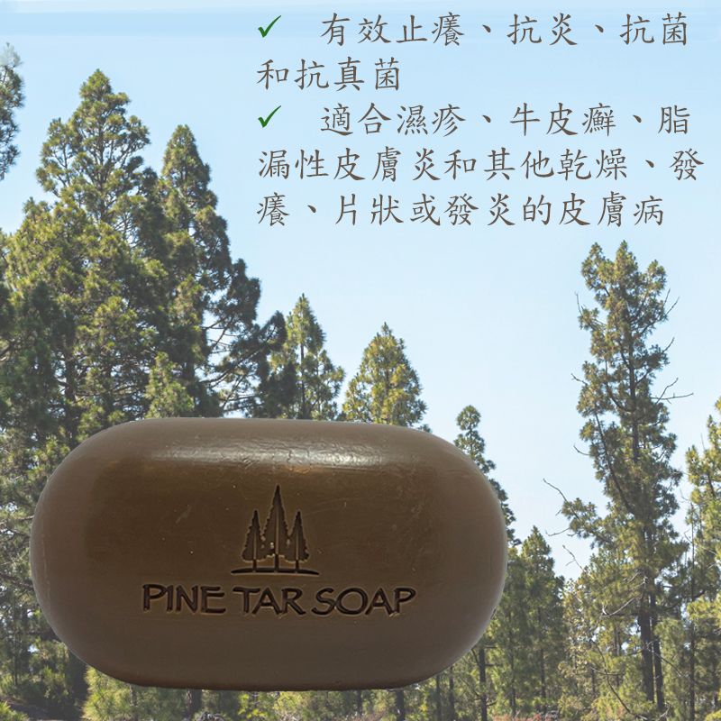 柏堤 - 松焦油梘